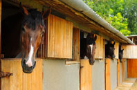 free Auchmuty stable construction quotes